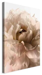 Artgeist Slika Na Platnu Soft Petals