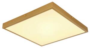 Globo Stropna Led-svetilka 12382-22