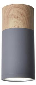 Stropna svetilka TUBA GU10/15W/230V