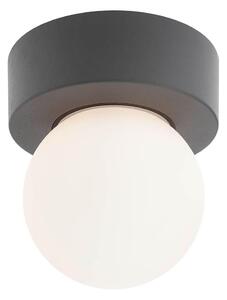 Redo 90641 - Zunanja stropna svetilka BULK 1xE27/28W/230V IP44 antracit