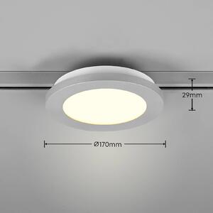 Stropna svetilka LED Camillus DUOline, Ø 17 cm, titan