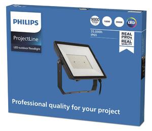 Philips ProjectLine LED zunanji reflektor 3.000K 100W