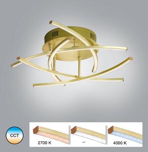 LED stropna svetilka Cross Tunable White, 5-fl, medeninasta