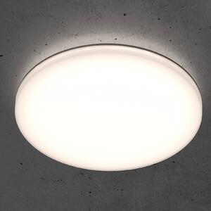 STEINEL RS PRO R20 basic SC LED stropna svetilka 4.000K