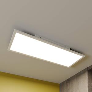 Lindby Luay LED panel, 3000-6000K, 30 x 80 cm