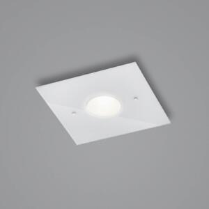 Helestra Nomi LED stropna svetilka 23x23cm dim bela