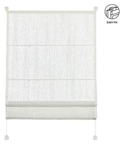 RIMSKA ZAVESA prosojno 50/140 cm