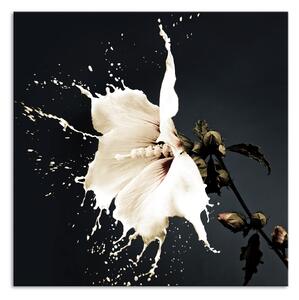 Stenska dekoracija Giglio Bianco
