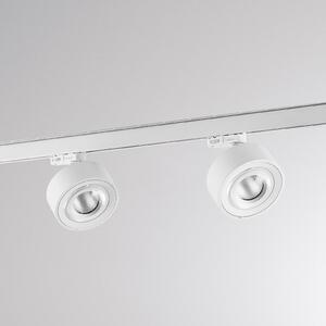 Molto Luce LED 3-fazni sistem tirnic Mag, bela, 830