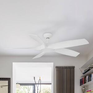 Stropni ventilator Cocos L s svetlobo LED, DC, bel