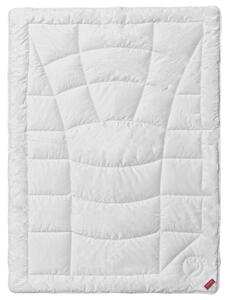 CELOLETNA ODEJA Wellness Vitasan 140/200 cm