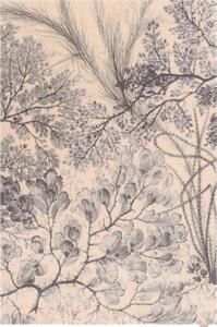 Mentolno zelena/bež volnena preproga 133x190 cm V&A Calisia Kelp – Agnella