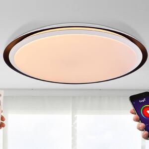 LED stropna svetilka Xaver Smart Home z možnostjo zatemnitve CCT