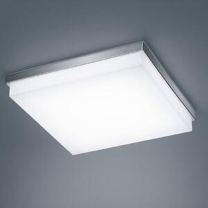 Helestra Cosi LED stropna svetilka krom 31,5x31,5 cm