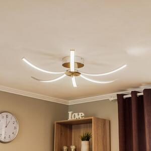 LED stropna svetilka Umbra 6-light 91cm krom