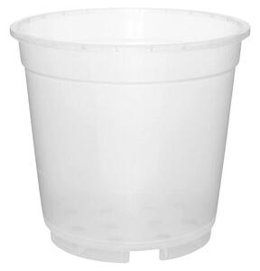 Lonec za orhideje (Premer: 19 cm, Plastika, Prozorna)