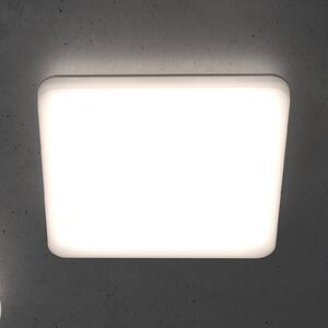 STEINEL RS PRO R30 Q plus LED stropna svetilka, 3.000 K