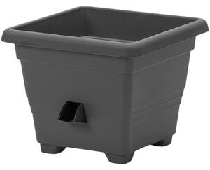 Plastia Bergamot samoplačniški sadilnik 25 x 25 cmsiv, 25 x 25 cm