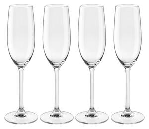 Mömax Set Kozarcev Lars - Champagne