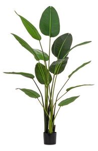 Umetna rastlina (višina 185 cm) Sterilizia – Bizzotto