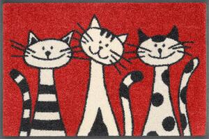 PREDPRAŽNIK Three Cats 40/60 cm potiskano rdeča