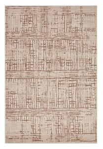Rjava/bež preproga 240x340 cm Terrain – Hanse Home