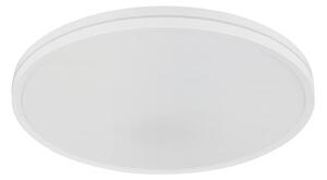 STROPNA LED-SVETILKA Dwain 2700-6500 K 230 V