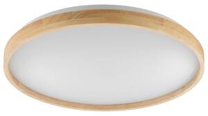 STROPNA LED-SVETILKA Alson 17 W 3000-6500 K 220-240 V