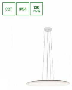 ZUNANJA VISEČA SVETILKA Nymphea 50/2,6-100 cm