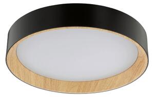 STROPNA LED-SVETILKA Larios 10 W 3000-6500 K 220-240 V