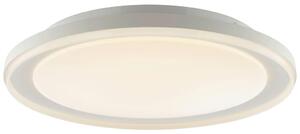 STROPNA LED-SVETILKA Pederson 10 W 3000-6500 K 220-240 V