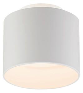 STROPNA LED-SVETILKA 3000 K 230 V