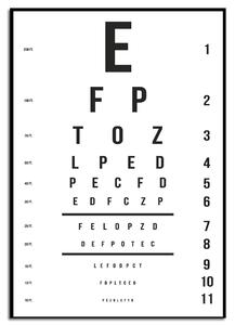 Stenska dekoracija Tavola optometrica