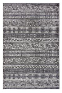 Siva zunanja preproga 76x150 cm Clyde Loto – Hanse Home