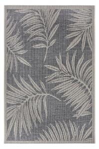 Siva zunanja preproga 63x120 cm Clyde Paru – Hanse Home