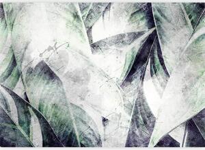 Artgeist Fototapeta Eclectic Jungle, 100x70cm
