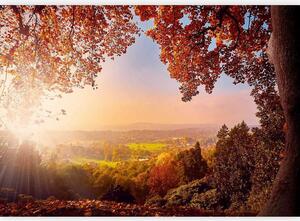 Artgeist Fototapeta Autumn Delight, 100x70cm
