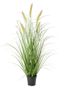 Modern Living Umetna Rastlina Pennisetum I