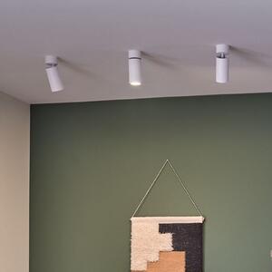 Paulmann LED-stropna svetilka Turnal Coin, bela, kovinska, 2.700 K, zatemnjen, Bela, Dnevna soba / jedilnica, Kovina, Sodobni, Vgreznjeni strop