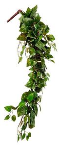 Umetna rastlina Scindapsus (Višina: 80 cm, Zelena, Plastika)