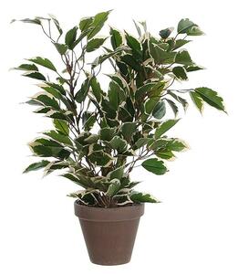 Umetna rastlina (Višina: 30 cm, Zelena, Plastika)