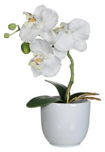 Umetna rastlina Phalaenopsis (Višina: 26 cm, Bela, Plastika)