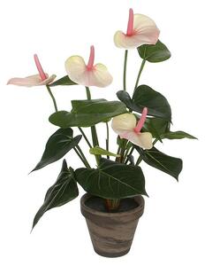 Umetna rastlina Flamingovec (Višina: 40 cm, Kremna, Plastika)