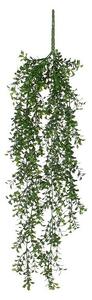 Umetna rastlina Pušpan (Višina: 74 cm, Zelena, Plastika)