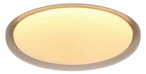 STROPNA LED-SVETILKA 48 W 5800 lm 3000-6500 K 220-240 V