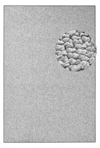 Siva preproga 200x300 cm Wolly – BT Carpet