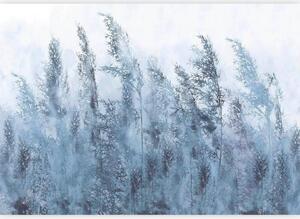 Artgeist Fototapeta Tall Grasses, 100x70cm