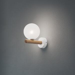 TK Lighting Stenna svetilka Estera, bela/barva lesa, steklo, G9, zatemnjen, Bela, Dnevna soba / jedilnica, Steklo, Sodobni