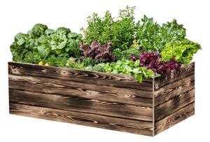 ATMOWOOD Lesena visoka greda 120 x 60 x 40 cm - ožgana