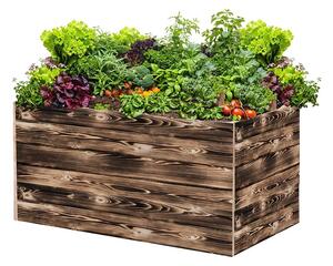 ATMOWOOD Lesena visoka greda 120 x 60 x 60 cm - ožgana